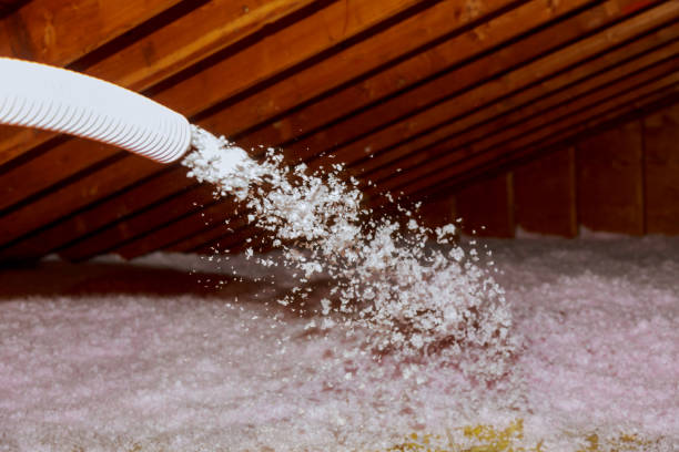 Best Commercial Insulation Contractor  in Le Claire, IA