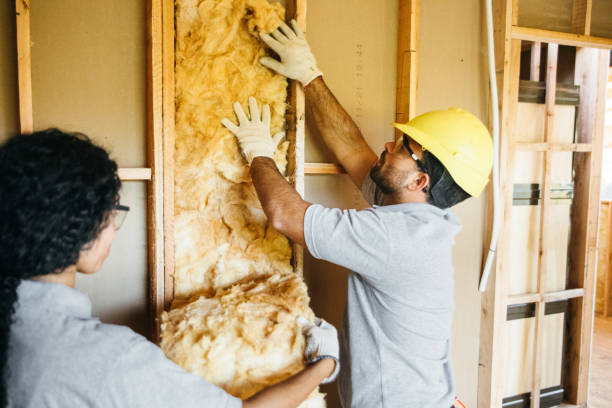 Best Attic Insulation Installation  in Le Claire, IA
