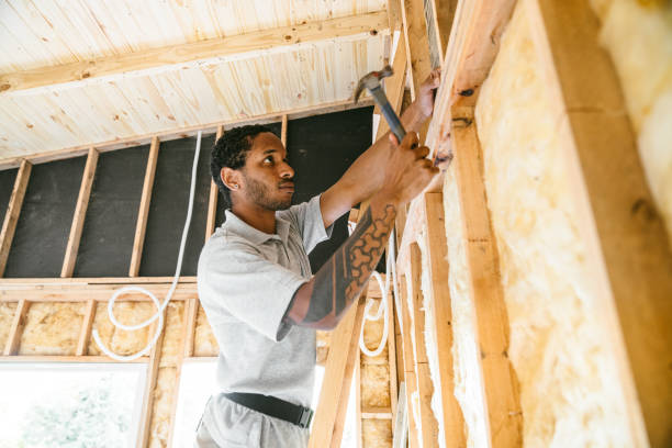 Best Local Insulation Services  in Le Claire, IA
