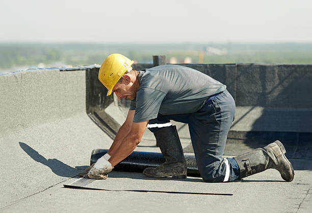 Best Insulation Contractor Near Me  in Le Claire, IA