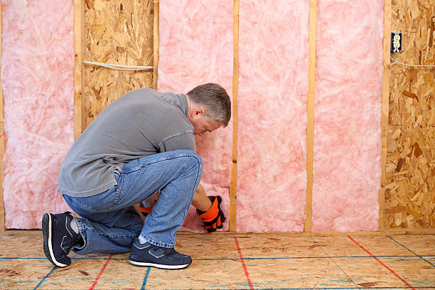 Best Insulation Removal Services  in Le Claire, IA